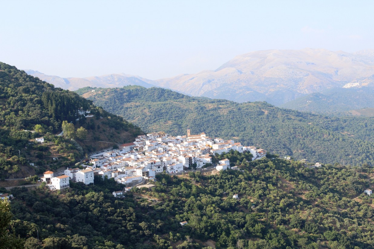 Rechazo en parte del sector agrario andaluz a la propuesta PEPAC del Ministerio de Agricultura