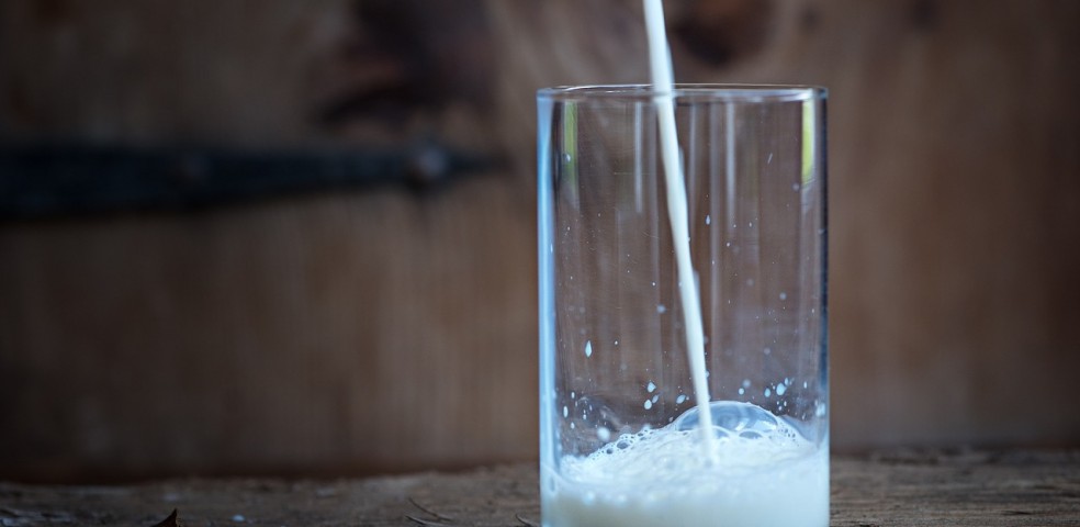 Leche