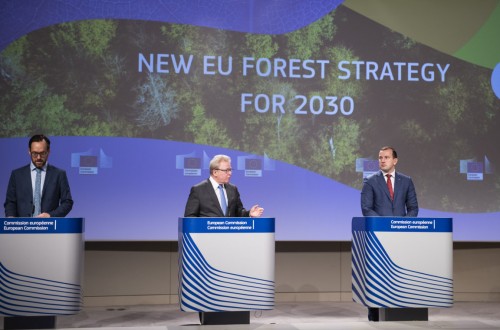 Bruselas propone una nueva Estrategia para proteger y restaurar los bosques comunitarios