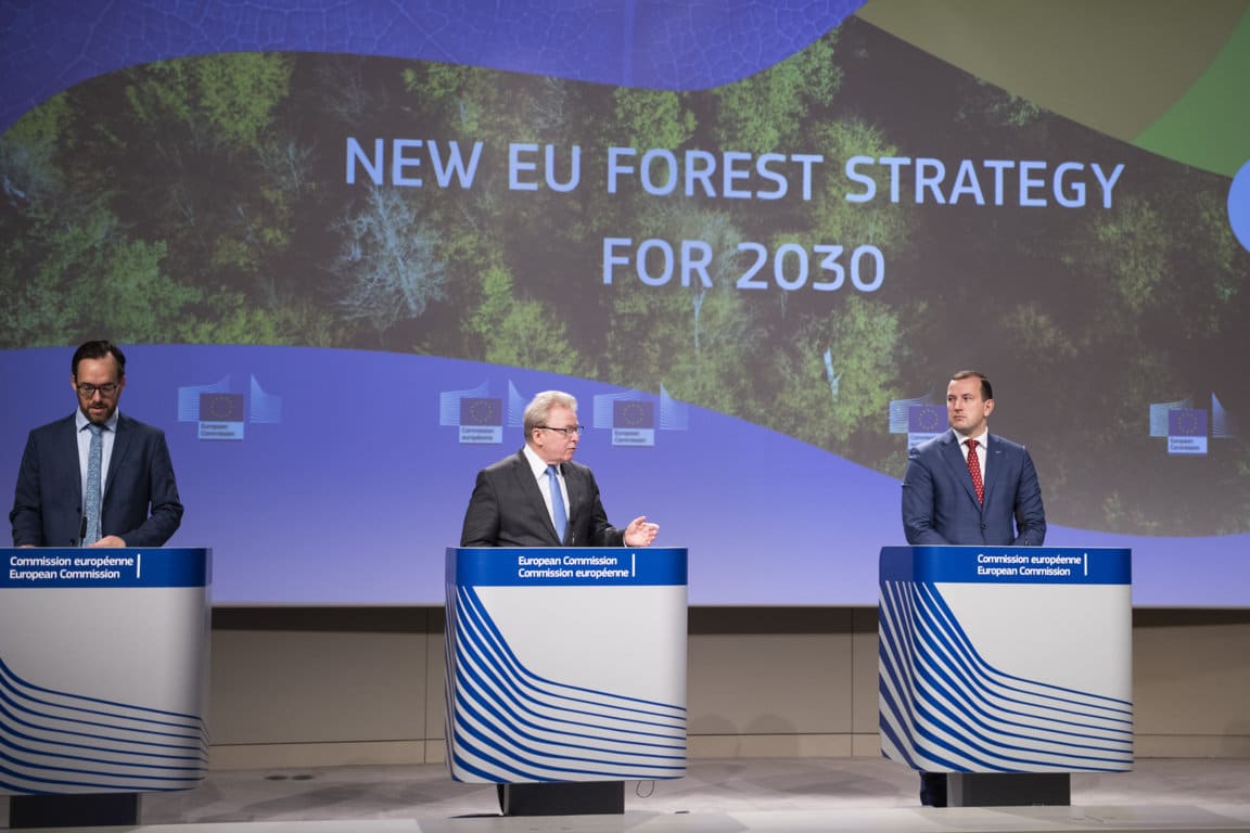 Bruselas propone una nueva Estrategia para proteger y restaurar los bosques comunitarios