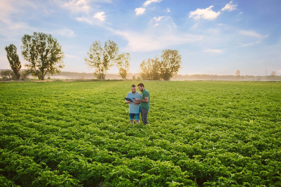 El MAPA regula las ayudas del Programa “CULTIVA” 2021 de estancias formativas para agricultores jóvenes en explotaciones modelo