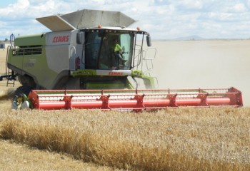 Riesgo de incendios en cosechadoras de cereal