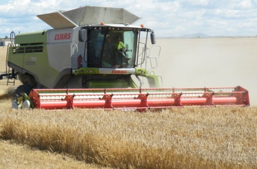 Riesgo de incendios en cosechadoras de cereal