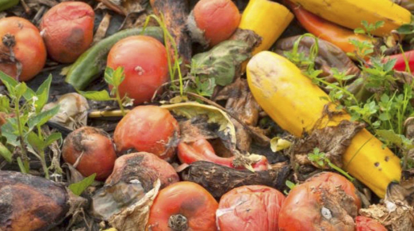 WWF alerta de que desperdiciamos ya el equivalente al 40% de todos los alimentos producidos