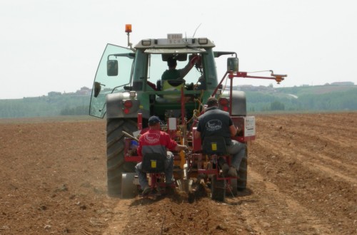 Retos para la viabilidad futura del cultivo de la vid