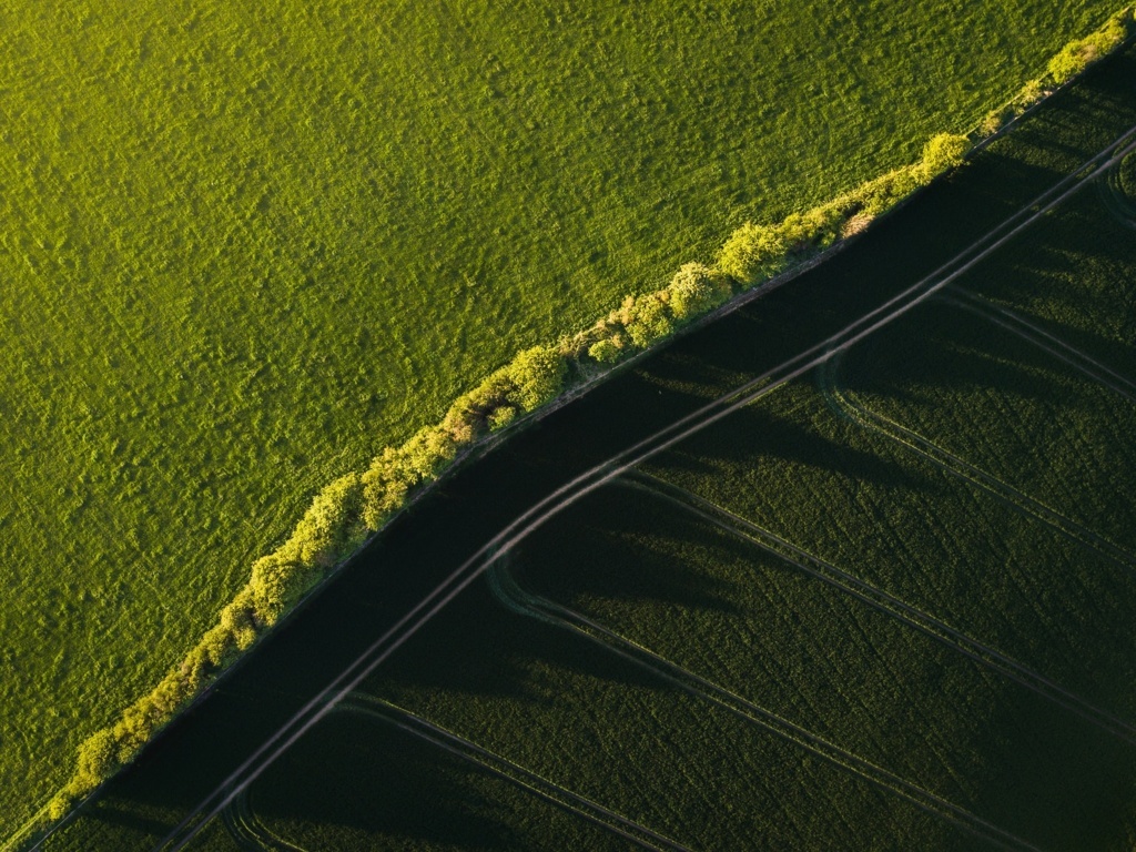 Cuantificar bien el uso del nitrógeno: clave para mejorar su gestión en la agricultura y reducir la contaminación