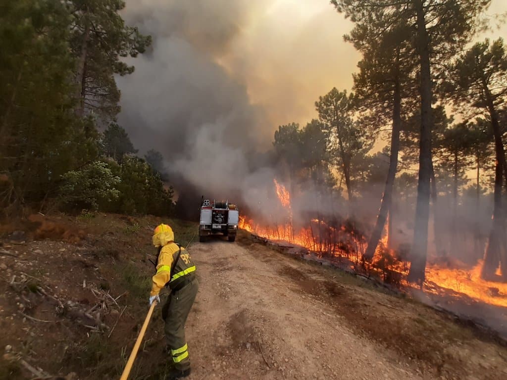 Incendios forestales: cerca de la media en siniestros y superficie forestal quemada en julio