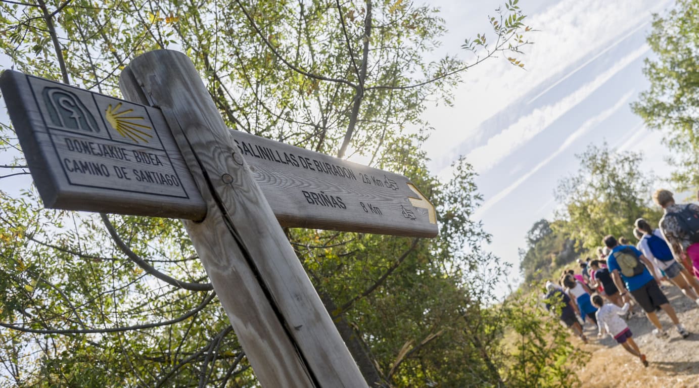 El mundo del vino y del enoturismo se unen al universo del Camino de Santiago. Por ACEVIN