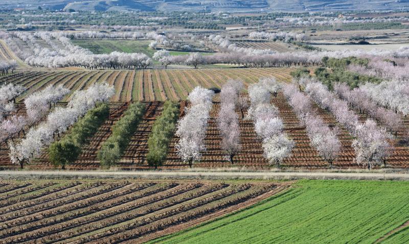 El MAPA presenta a CC.AA. su propuesta de ecoesquemas con 9 prácticas sostenibles para el medio ambiente y el clima