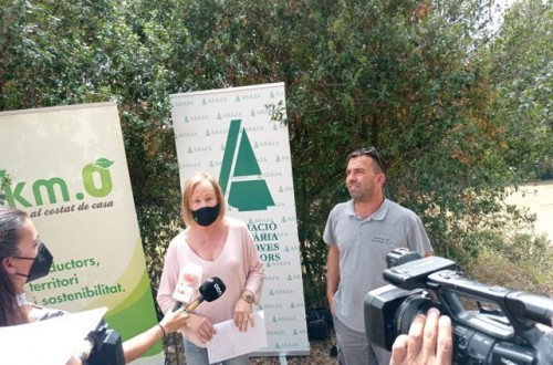 Aumenta un 10% la cosecha de cereal de Cataluña frente a 2020