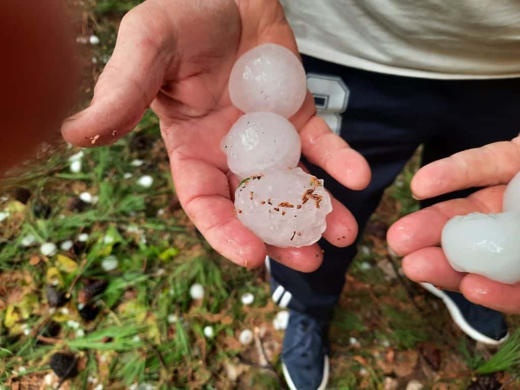 Daños en los cultivos de Castilla-La Mancha por las tormentas de granizo de los últimos días