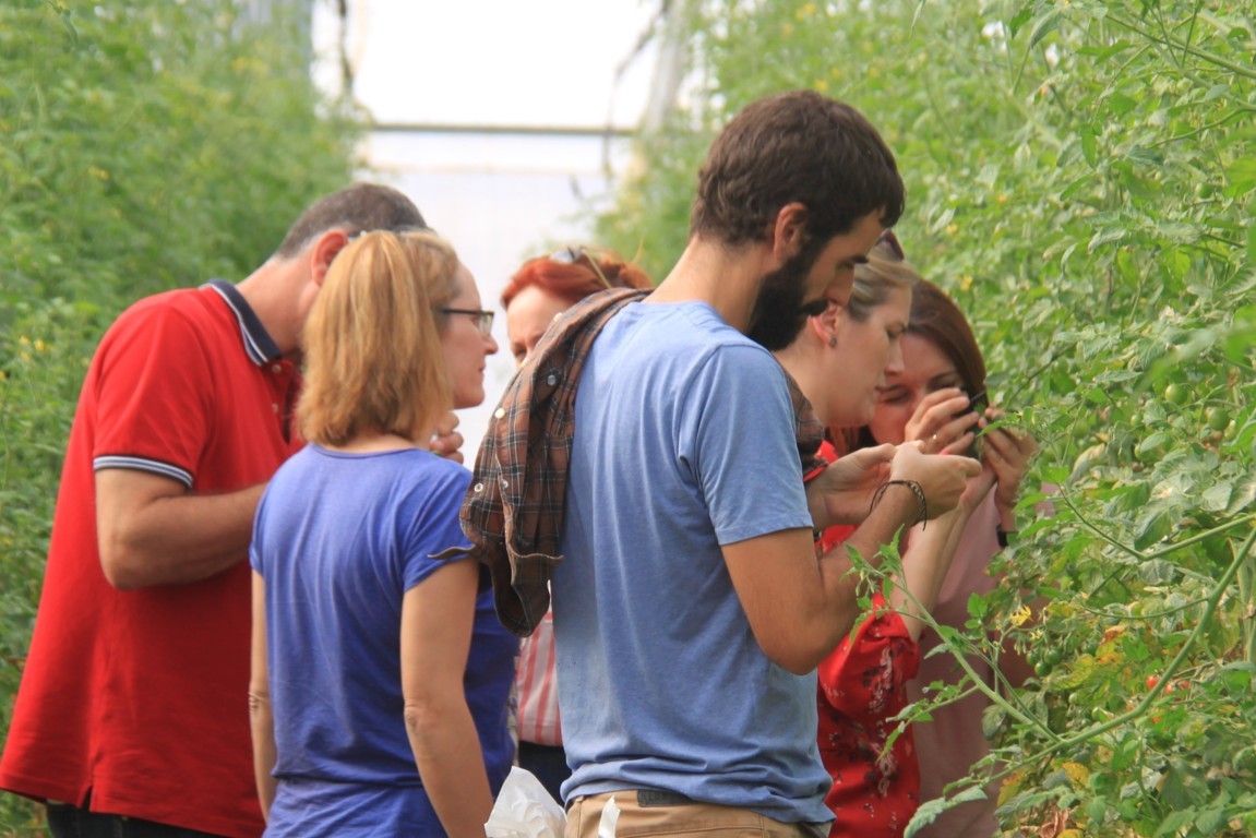 Ampliado hasta el 10 de agosto la presentación de solicitudes para el Programa de formación CULTIVA