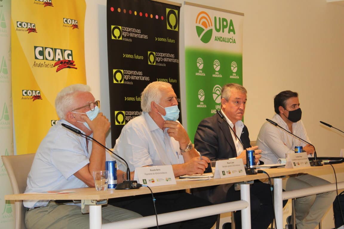 El sector agrario andaluz, contra los ecoesquemas propuestos por el MAPA