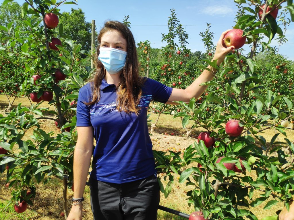 El paro registrado en Agricultura bajó un 7,7% y en casi 13.500 personas en agosto