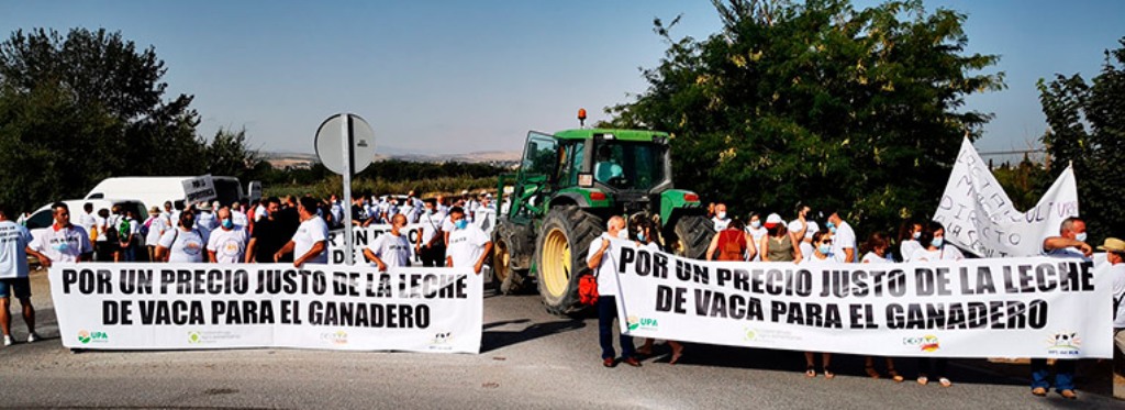 UPA acusa a algunas industrias lácteas de quedarse con los céntimos de subida de la leche en los lineales