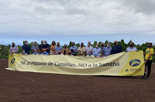 Productores de plátanos firman un manifiesto contra la Ley de la Cadena Alimentaria