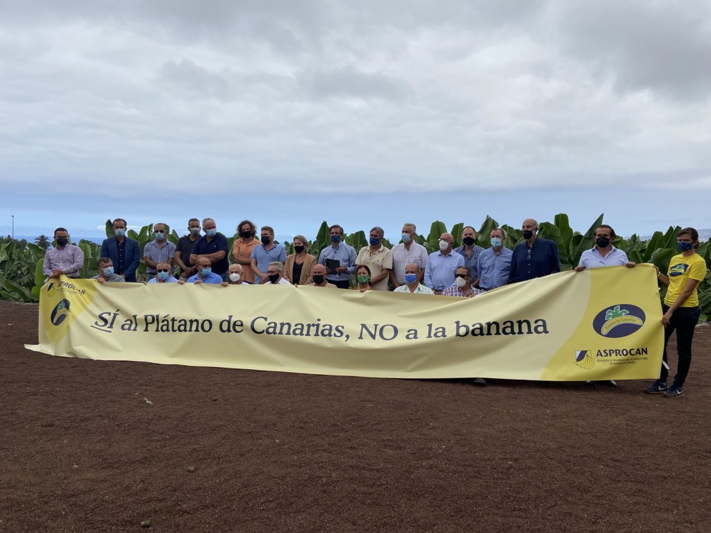 Productores de plátanos firman un manifiesto contra la Ley de la Cadena Alimentaria