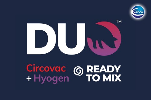 DUO, el nuevo concepto de CEVA Salud Animal frente a Mhyo y PCV2