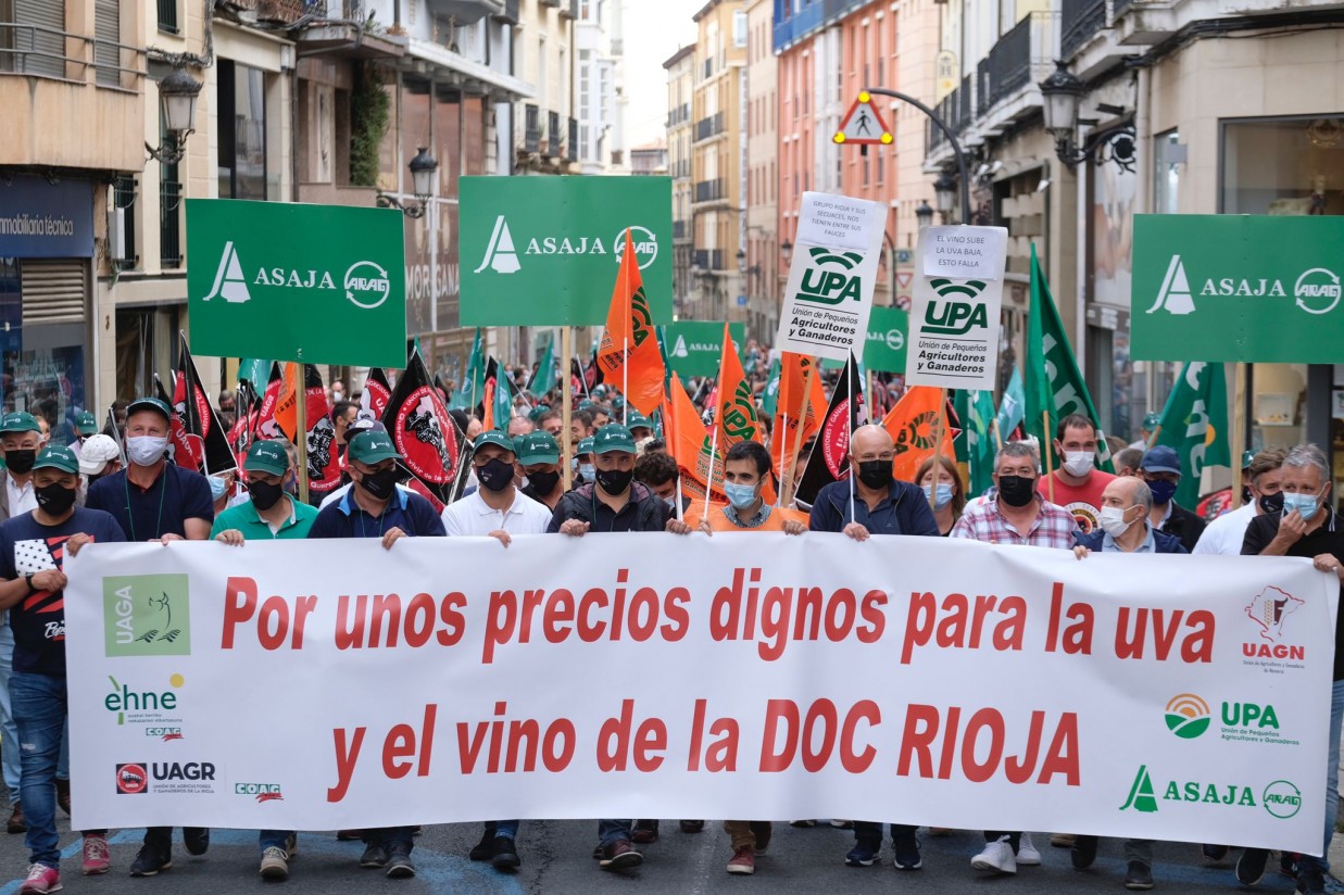 Los viticultores riojanos reclaman «unos precios dignos para la uva y el vino de la DOC Rioja