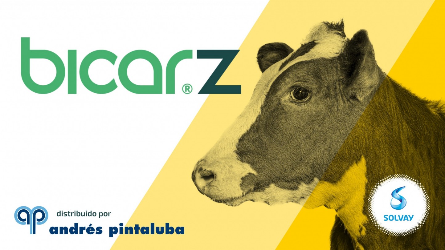 Bicar®Z ayuda a prevenir la acidosis y aumenta la productividad de los animales