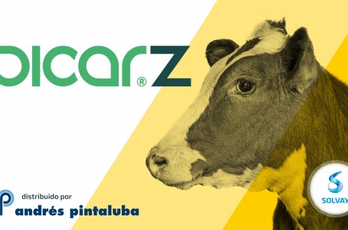 BicarZ ayuda a prevenir la acidosis y aumenta la productividad de los animales