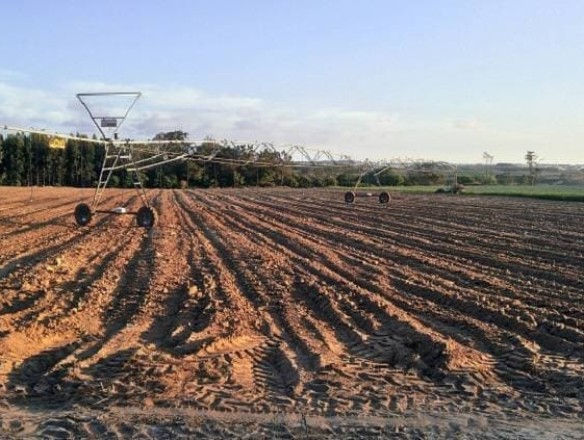 La UE acuerda una nueva ley para restaurar la salud del suelo en todo su territorio antes de 2050
