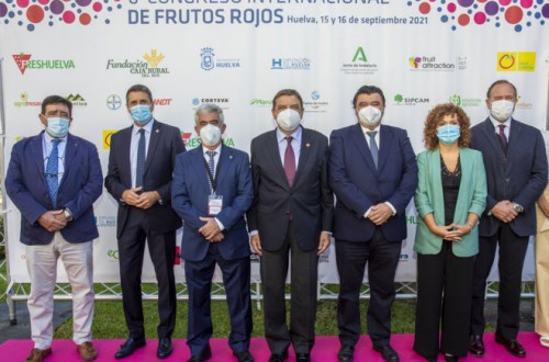 El VI Congreso Internacional de Frutos Rojos analiza nuevas oportunidades de negocio para el sector de las berries