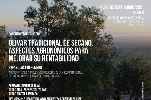 Encuentros Oleoestepa aborda la mejora de la rentabilidad del olivar tradicional de secano