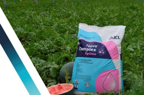 ICL lanza en Fruit Attraction su nuevo catálogo Nova Complex Optima