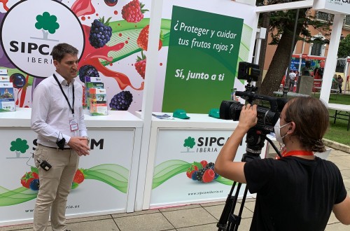 Sipcam Iberia presenta en Huelva el biofungicida Araw para berries