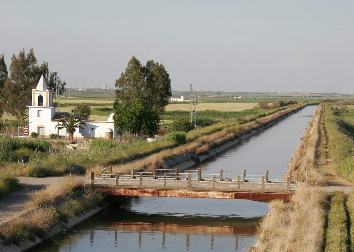 Las políticas comunitarias no garantizan el uso sostenible del agua por los agricultores, según el TCE