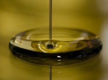 Según cooperativas andaluzas, la producción final de aceite será menor de la esperada, con enlaces muy cortos que tensionarán la próxima campaña