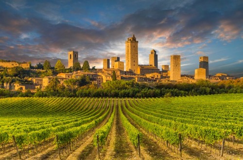 Italia prevé una producción vitivinícola de apenas 44,5 Mhl en la actual campaña 2021/22