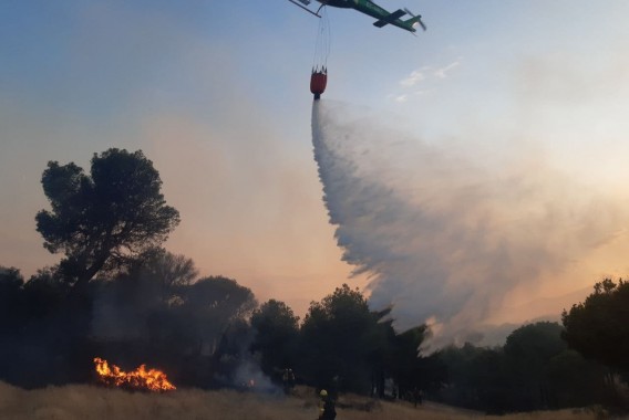 España alcanza casi 350.000 hectáreas quemadas, según estimaciones de Copernicus