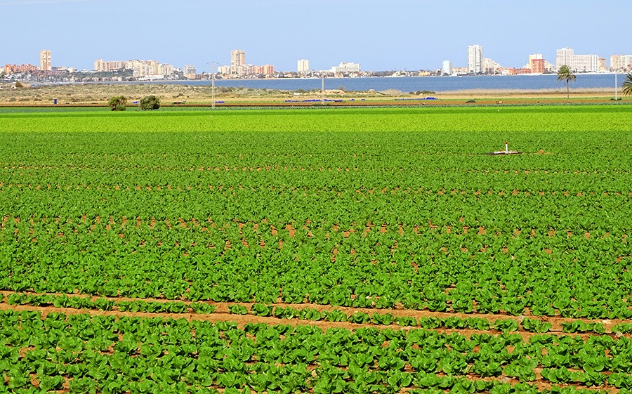 La CE reclama hacer mucho más para reducir la contaminación de las aguas por nitratos de origen agrícola