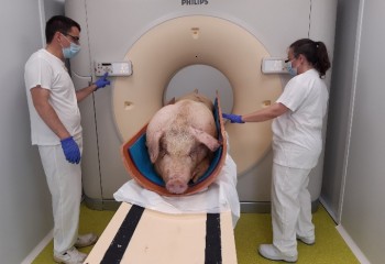 El uso de la unidad móvil de tomografía computarizada para mejorar la producción animal