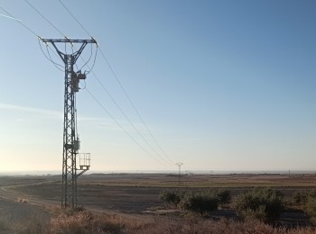 Gestión de la energía en explotaciones porcinas de producción intensiva