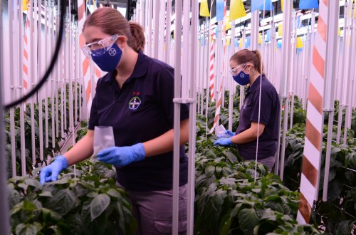 Investigación, sostenibilidad y transformación digital marcan las bases del centro de I+D de Bayer en San Nicolás