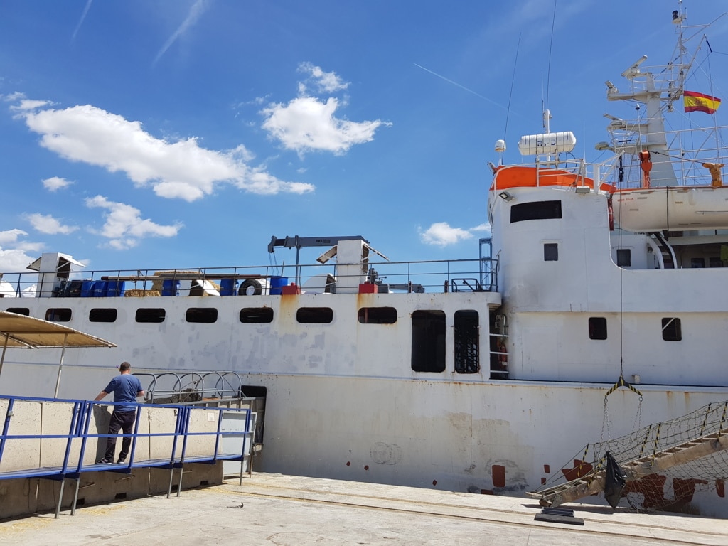 Acuerdo entre direcciones generales para controlar a los barcos utilizados en transporte animal