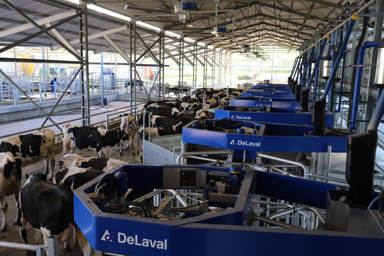 DeLaval revela un nuevo concepto de ordeño automático para grandes explotaciones lecheras