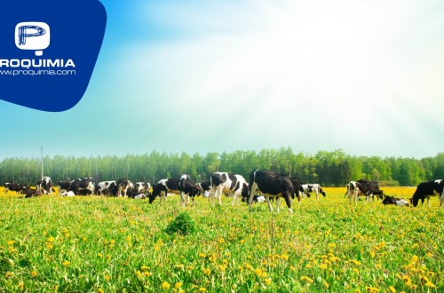 Aprueban la gama de ganadería de Proquimia para su uso en producción ecológica