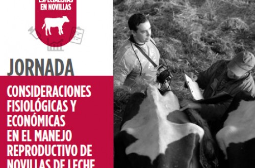 Zoetis continúa con la formación al veterinario de vacuno lechero