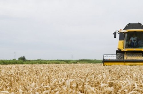 Aragón critica que la profesionalidad se vea penalizada en la aplicación de las ayudas del PE-PAC