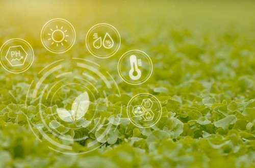 Acuerdo entre Cajamar e IBM para ofrecer servicios de IA al sector agroalimentario