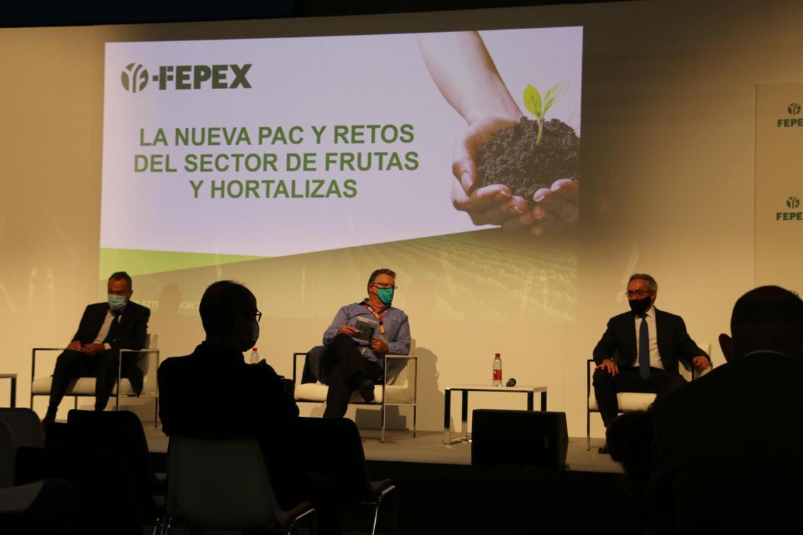 Jornada FEPEX: El MAPA confirma que el sector hortofrutícola contará con ayudas PAC