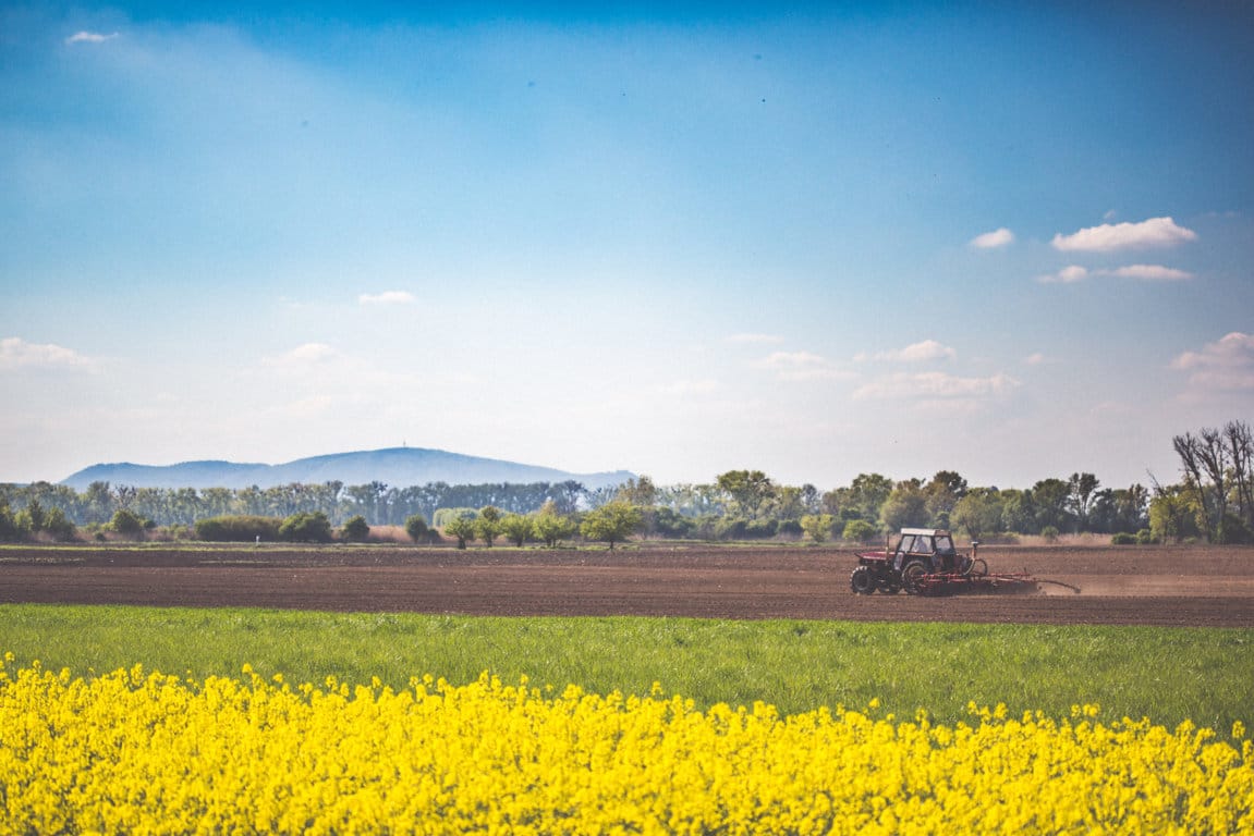 El FEGA constata el positivo avance medioambiental de las prácticas de «greening» en cultivos y pastos en 2015-2020