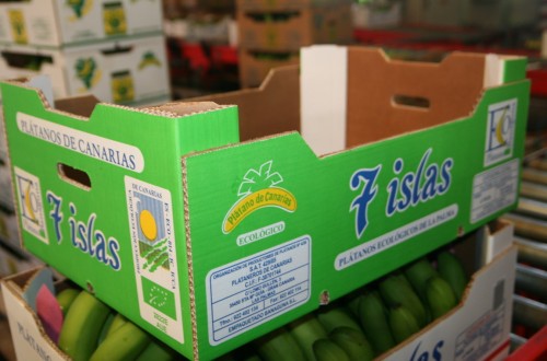 El Gobierno flexibilizará la norma de comercialización de los plátanos de La Palma