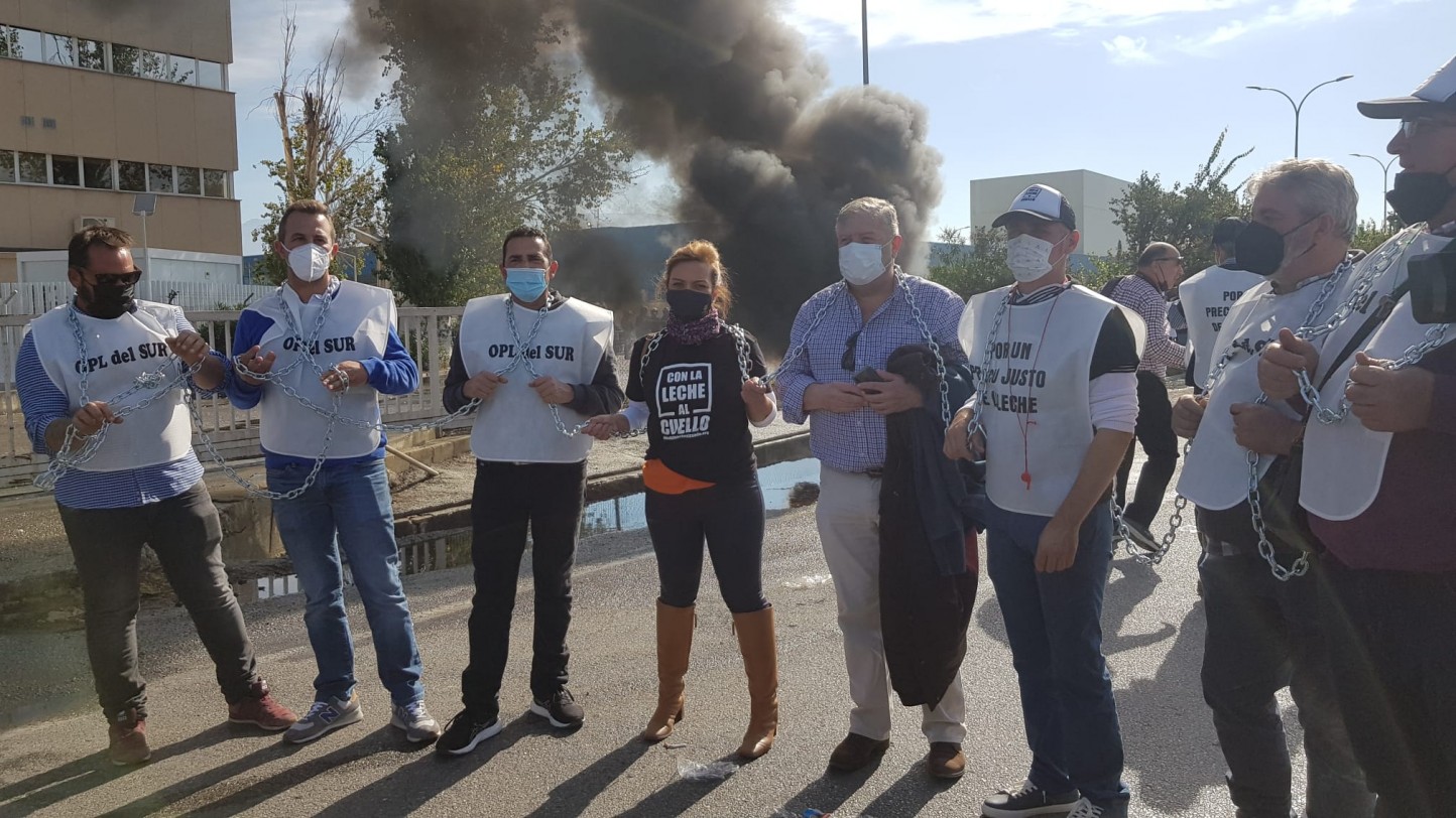 Ganaderos andaluces dejarán de entregar leche de vaca a Lactalis Puleva si no paga por encima de costes