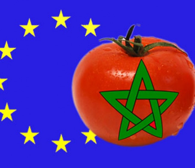 Marruecos es el único de los principales abastecedores de tomate al mercado UE que aumenta ventas en el último lustro