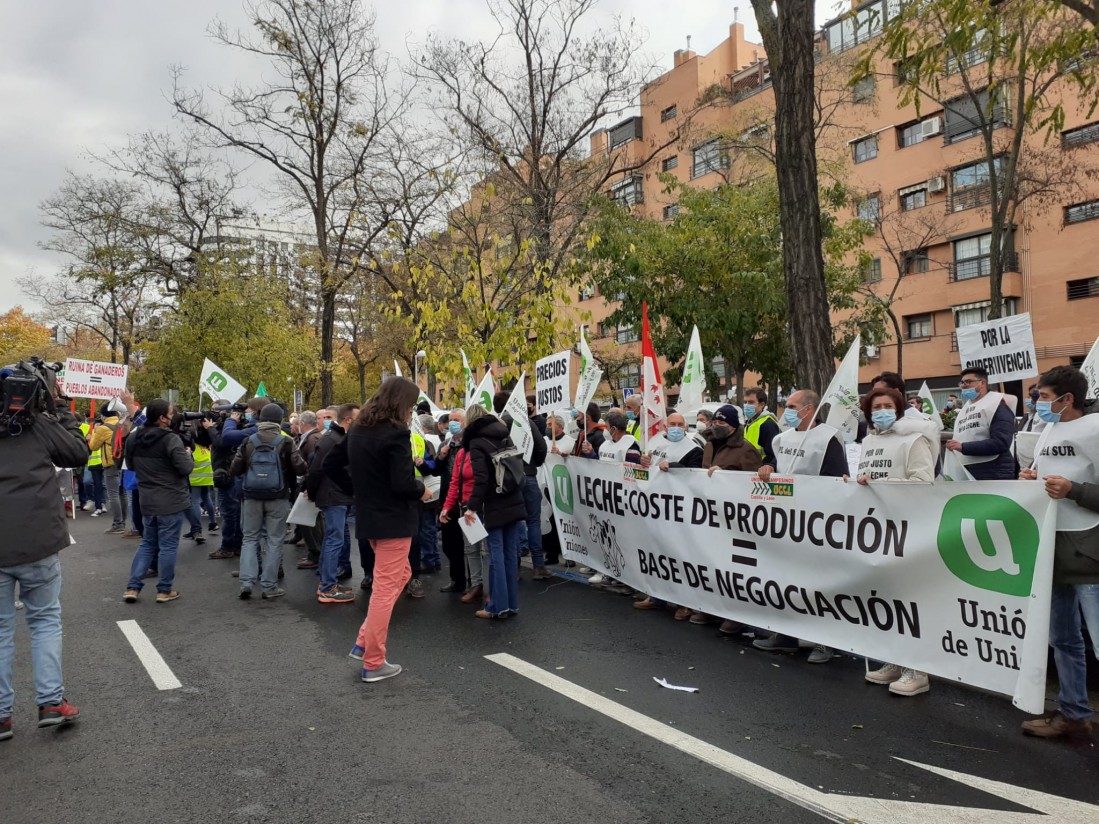 Ganaderos de Unión de Uniones reclaman ante la sede Lactalis más responsabilidad a la industria láctea